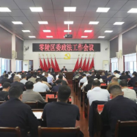 零陵区委政法工作会议召开