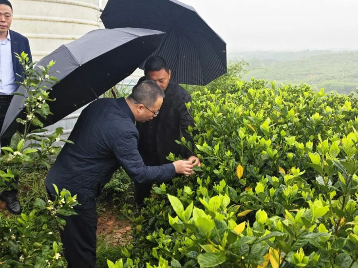 零陵：龙亮到乡镇街道调研安全生产、防汛备汛和春耕生产等工作