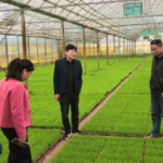 零陵：水利蓄能保春灌 万亩稻田披绿装