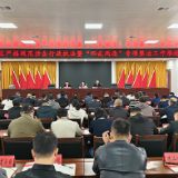 零陵区召开严格规范涉企行政执法暨“四乱两违”专项整治工作推进会