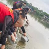 科普进校园，鱼苗入潇水——零陵区开展科普宣传与增殖放流系列活动