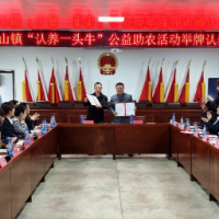 水口山镇黄牛产业发展协会成立暨“认养一头牛”公益助农活动举行