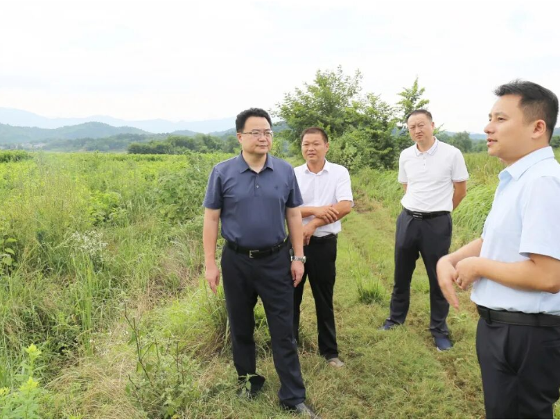 零陵：赵立平赴乡镇调研