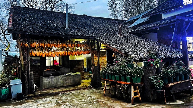 马坝村稻田社区1-猪栏咖啡.jpg