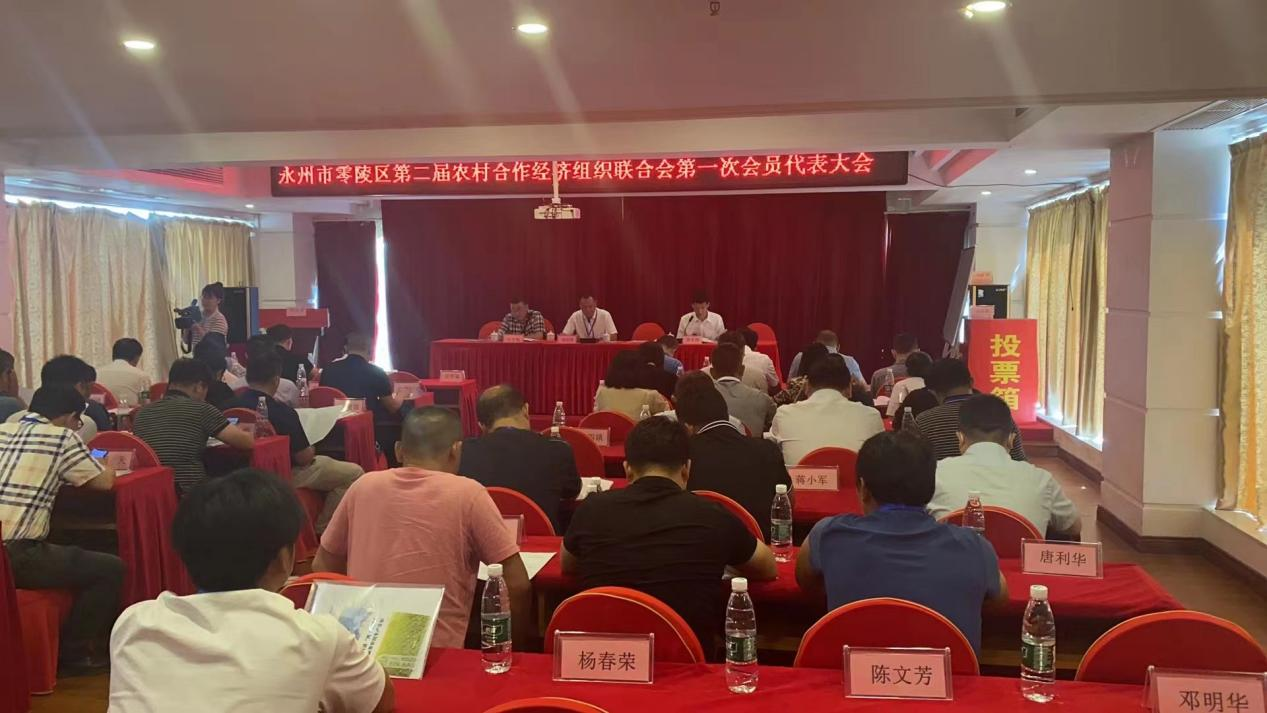图片12.png