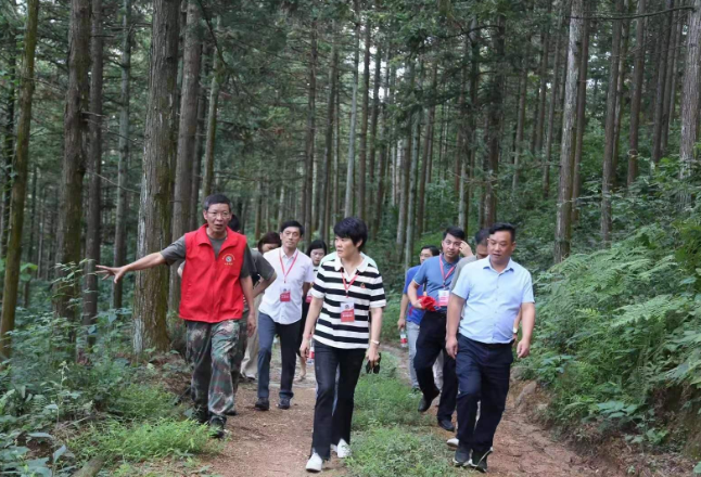 零陵：蒋映群到水口山国有林场开展专项调研活动