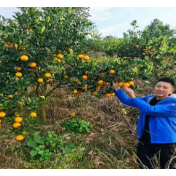 零陵:特色水果产业引领乡村振兴