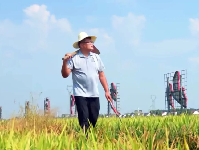 从“永冲锋”到“沃野梦”！江苏“90后”在零陵签下1400亩种粮大单