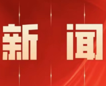 区人民政府第101次常务会议召开