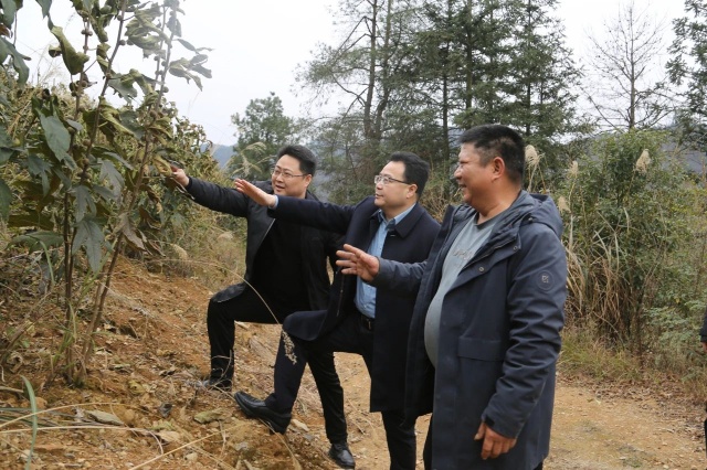 微信图片_20250211085658_副本.jpg