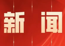区政府第82次常务会议召开