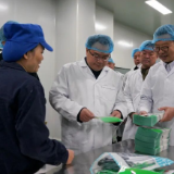 赵立平在园区调研产业项目建设时强调：以项目建设“加速度”锻造实体经济发展新动能