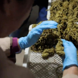 零陵:方寸庭院“腌”出致富香