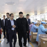 王武文赴园区开展“走找想促”调研