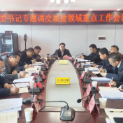 零陵:区委书记专题调度城建领域重点工作会召开