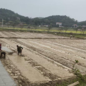 石山脚街道：抢抓农时忙春耕 打好丰产“第一仗”