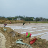 石山脚街道：不负春光抢农时 荒地复耕种粮忙