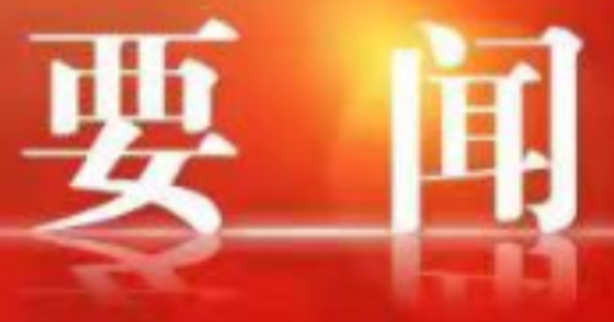 区政府第95次常务会议召开