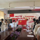 青春向党，团徽闪耀——梳子铺乡中学举行2026年新团员入团仪式
