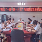 零陵区召开“一线一路一片区”项目建设攻坚推进会