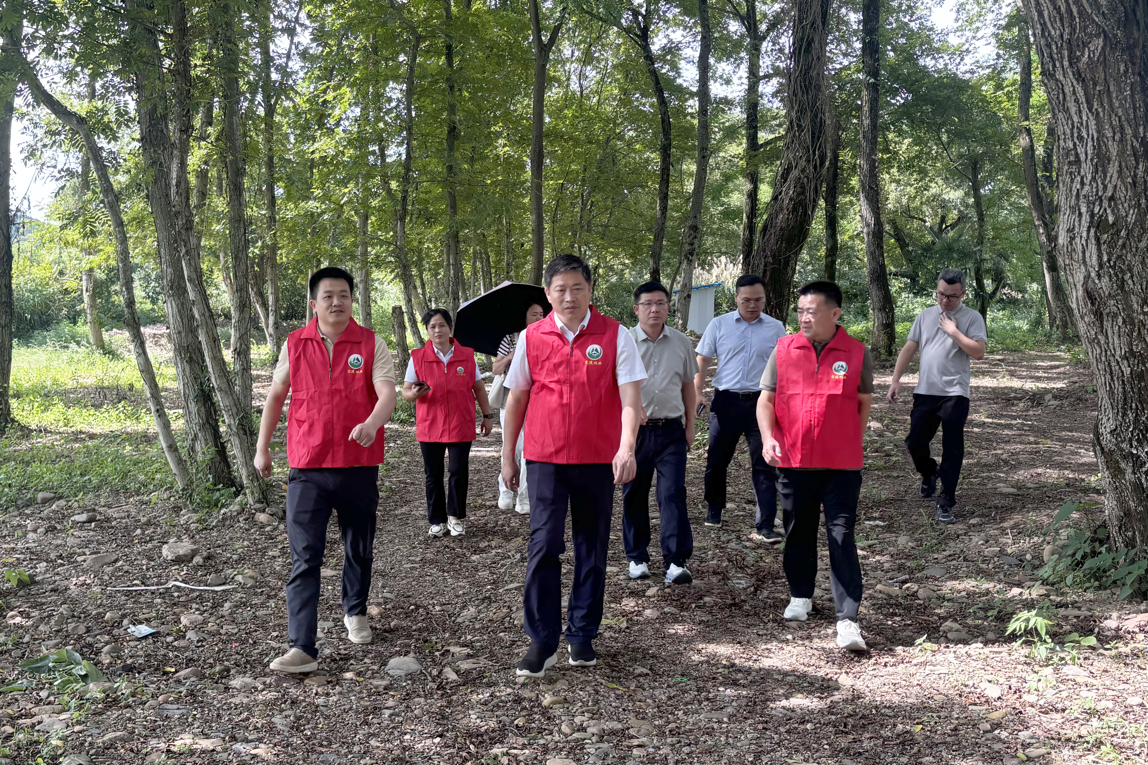 微信图片_20260630224730_3441_6.jpg