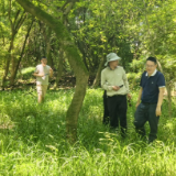 零陵:开展湿地资源本底调查 助力大萍岛生态文旅发展
