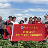 青春三下乡：高校学子走进零陵石山脚西塘观村，送服务、察产业