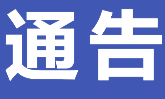 关于严肃换届纪律“十严禁”的通知