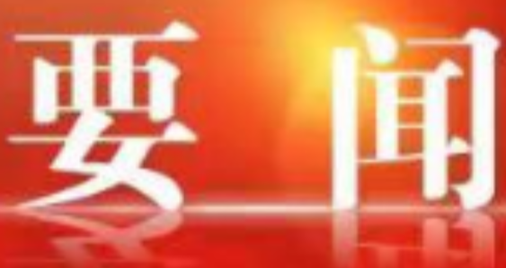 区人民政府第106次常务会议召开