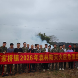 以练备战防未“燃”！富家桥镇组织开展2026年森林防灭火应急演练