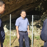 零陵:赵立平到乡镇督导突出生态环境问题排查整改工作