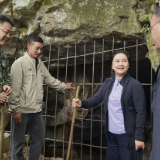 陈莉调研督导溶洞污染排查整治工作