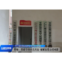 蒋华军：落实市党代会精神赋能基层治理提质增效