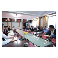 陈莉参加邮亭圩镇代表团审议