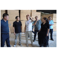 省第五生态环境保护督察组下沉零陵区开展生态环境保护专项督察