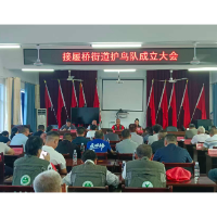 聚力生态守护 共护候鸟翩飞——零陵区接履桥街道护鸟队正式成立