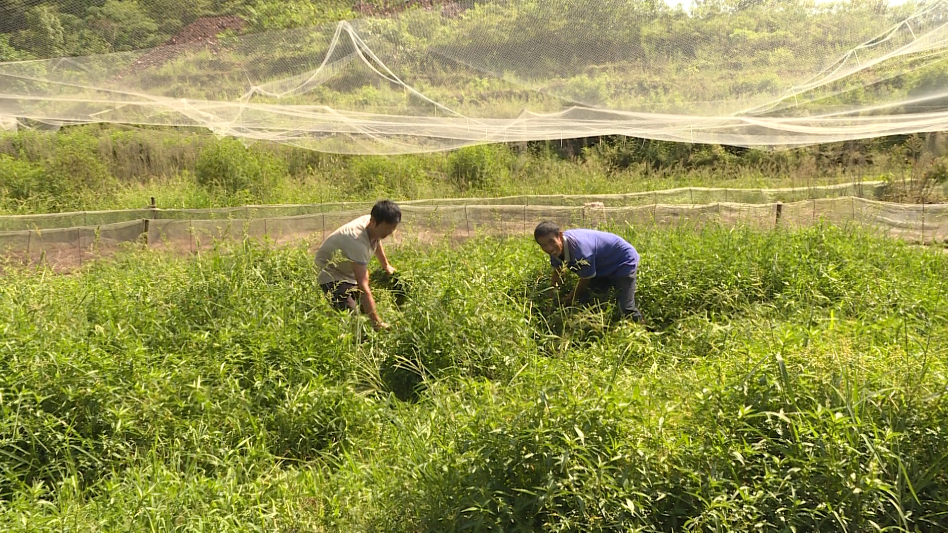 690_9288_01.MP4.00_00_01_21.Still001.jpg 690_9288_01.MP4.00_00_01_21.Still001.jpg