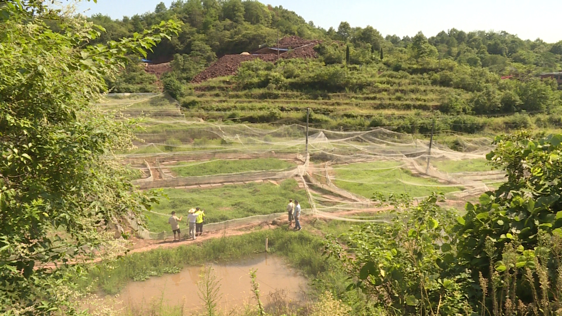 690_9283_01.MP4.00_00_02_17.Still001.jpg 690_9283_01.MP4.00_00_02_17.Still001.jpg