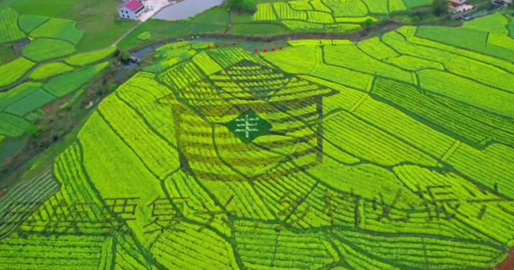 定格春日好时光!衡南县花桥镇万亩油菜花海等你来"撩" - 时刻