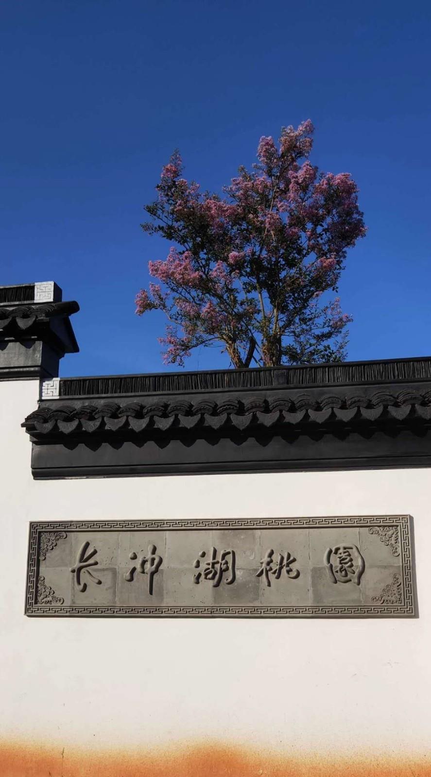 微信图片_20220930165853.jpg
