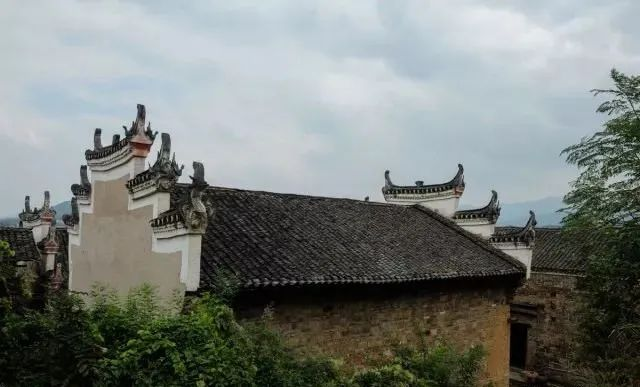 图片13.png