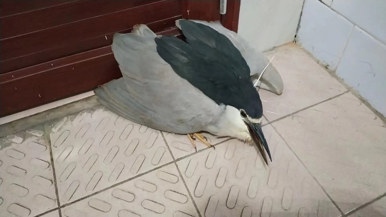 图片1.png 图片1.png