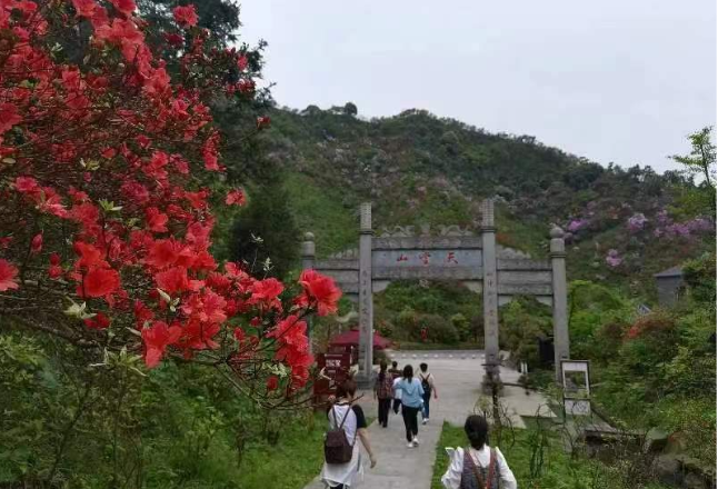 清泉文艺 | 天堂山的映山红