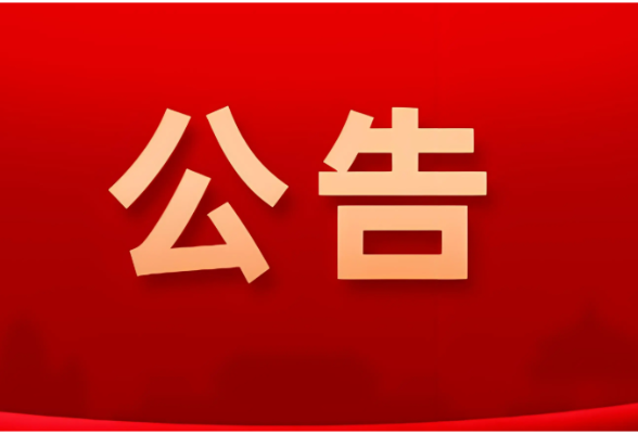 衡南县第十九届人民代表大会第一次会议公告（第8号）