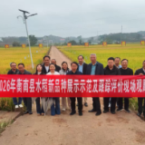 衡南县召开2026年晚稻新品种展示示范现场观摩会