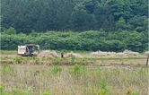 衡南县铁丝塘镇铁丝社区：党建引领践初心 秸秆还田护生态