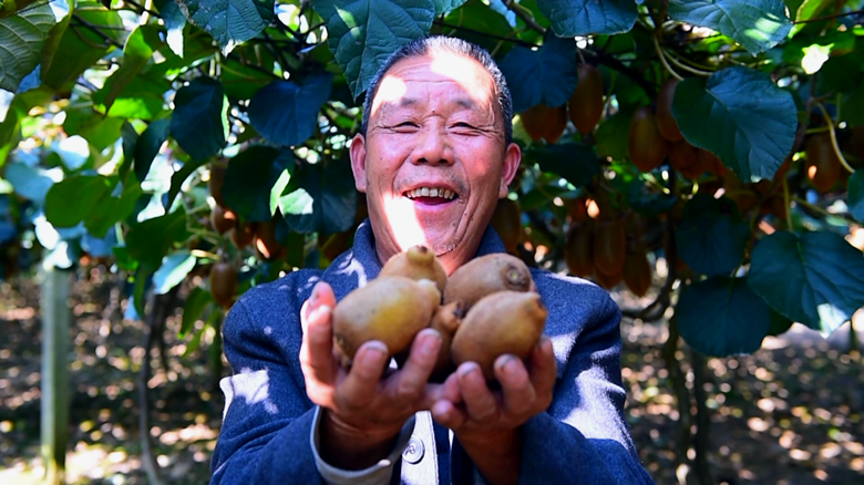 微信图片_20220902153008_副本.png