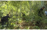 清网、清套、清夹！衡南县开展春季野生动物保护“清风行动”