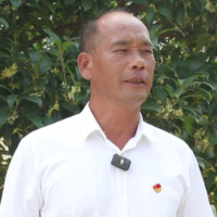 代表风采｜廖灵辉：扎根基层履职尽责 当好群众连心桥