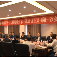 两会进行时丨县政协十二届一次会议主席团举行第一次会议